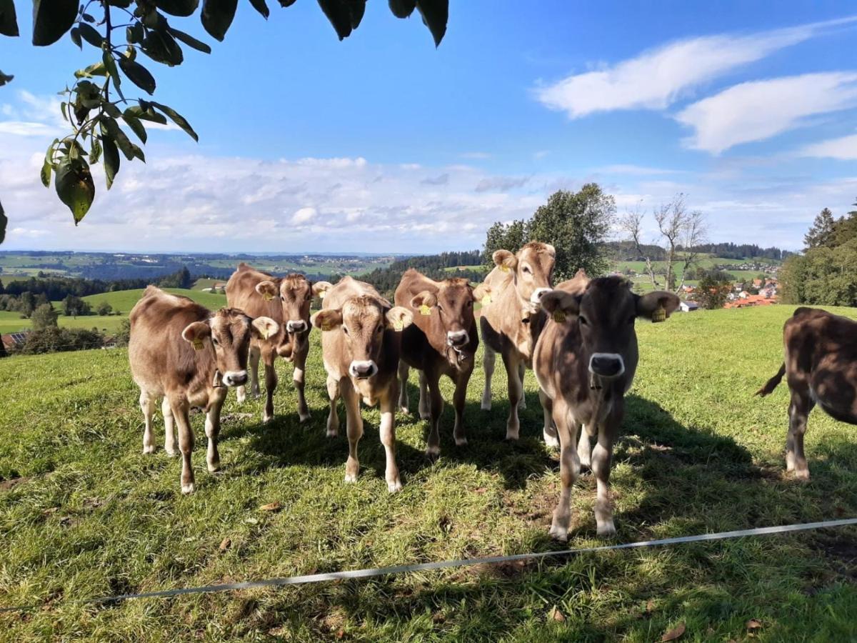 Ferienwohnung Pickenhan Scheidegg Esterno foto