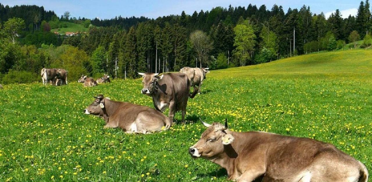 Ferienwohnung Pickenhan Scheidegg Esterno foto
